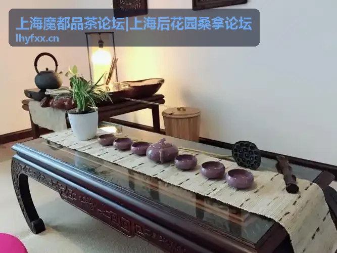 上海魔都品茶论坛夜话话题封面